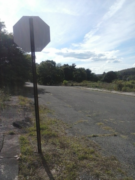 It's empty now, but at one time this street was lined with houses.